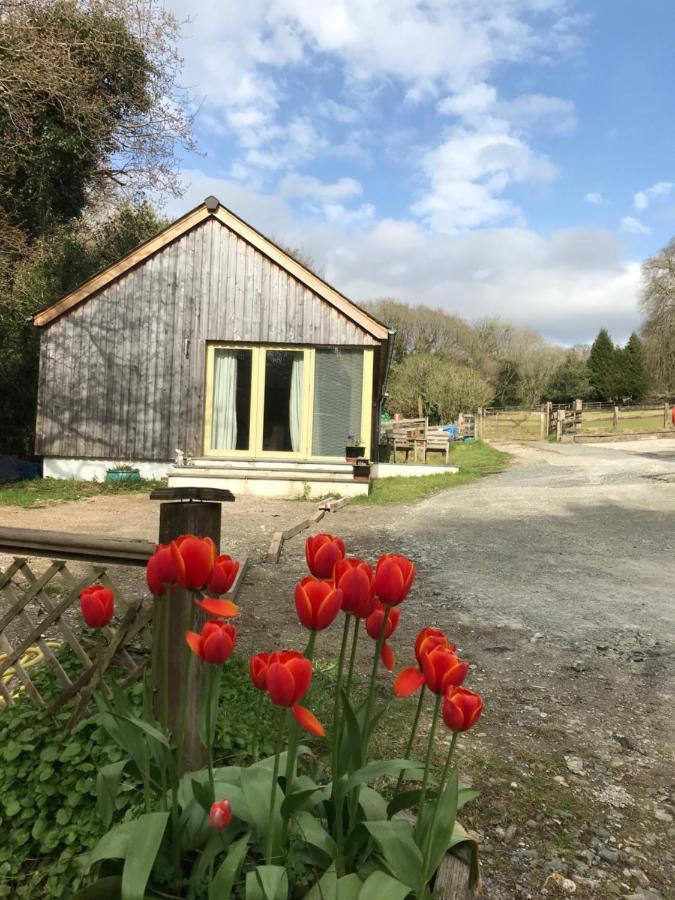 Oak Lodge Tavistock  Exterior foto